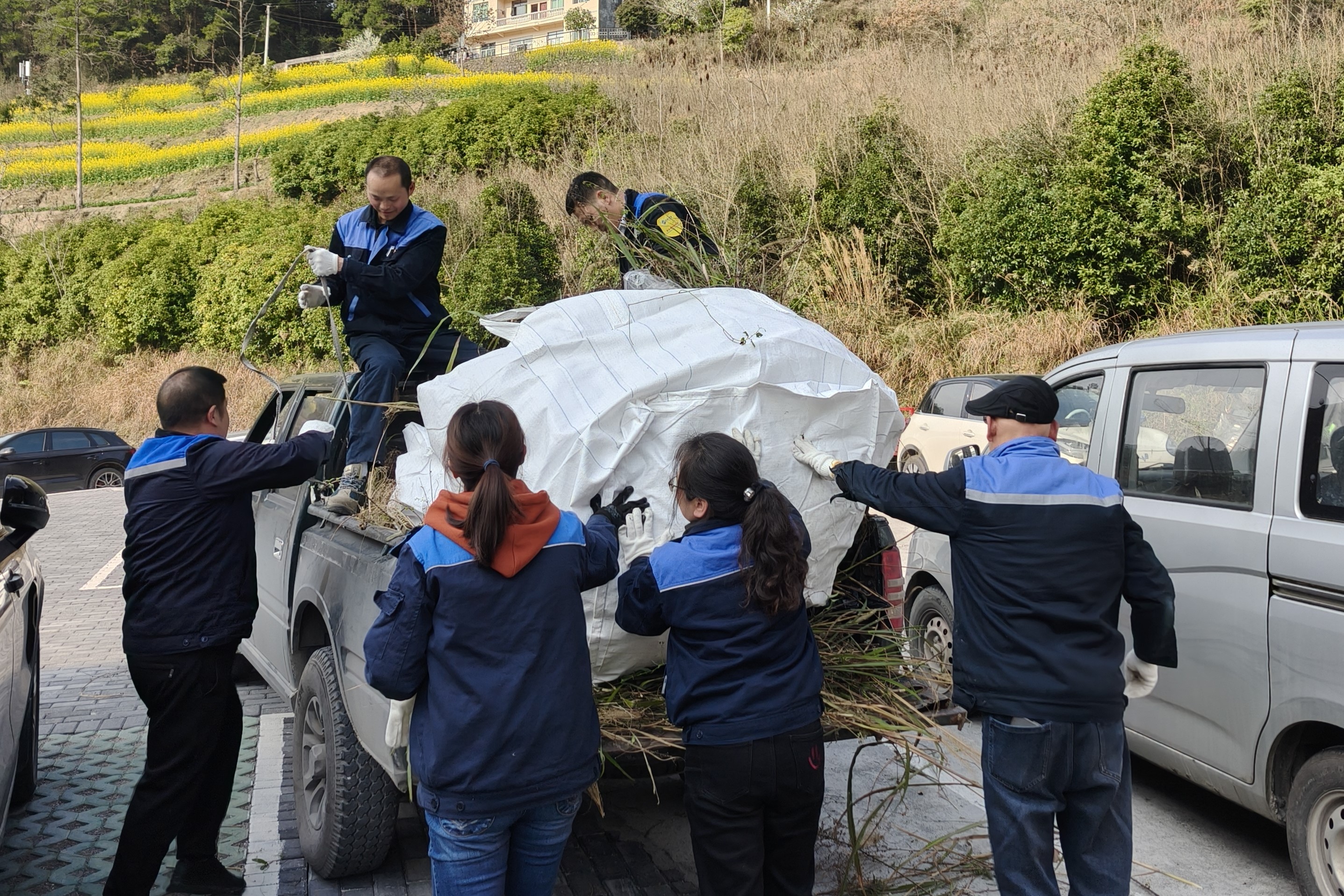 IMG20260312161253.jpg IMG20260312161253.jpg