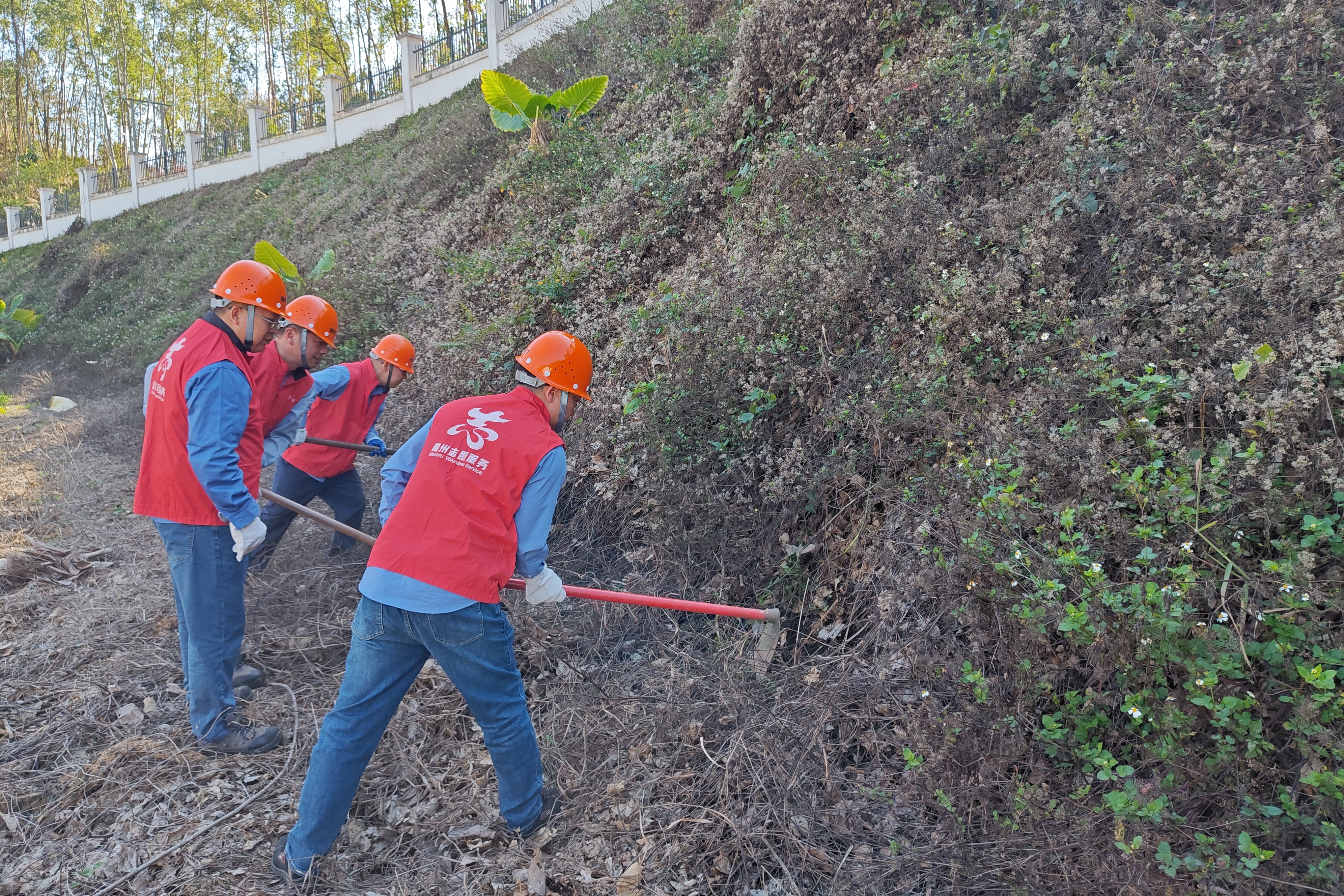 圖二.jpg 圖二.jpg